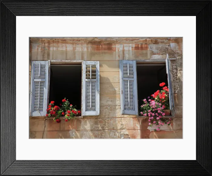 Framed Print : Croatia, Istria, Rovinj, Typical windows Framed Print : Croatia, Istria, Rovinj, Typical windows