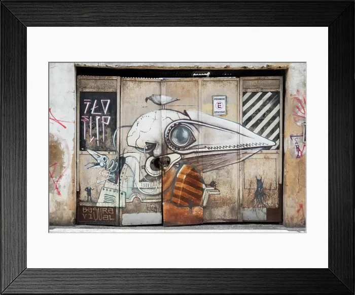 Framed Print : Murals; Salvador, Bahia, Brazil