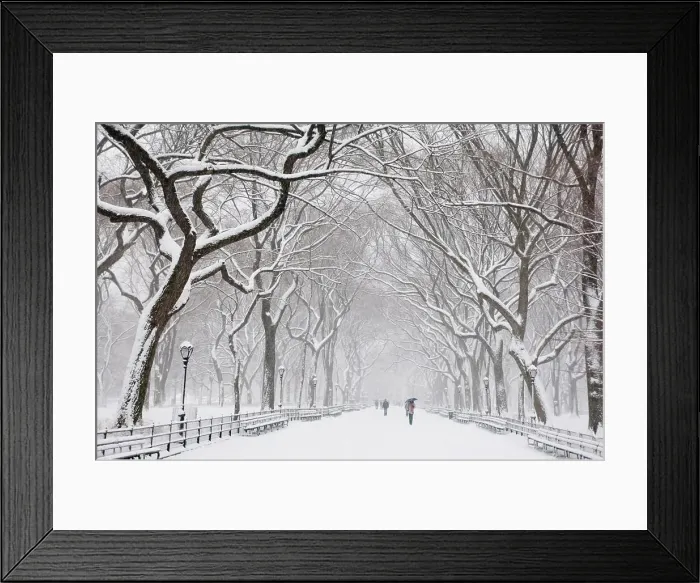 Framed Print : Snow covered trees and benches in Central Park, New York City, New York State, United States of America, North America Framed Print : Snow covered trees and benches in Central Park, New York City, New York State, United States of America, North America