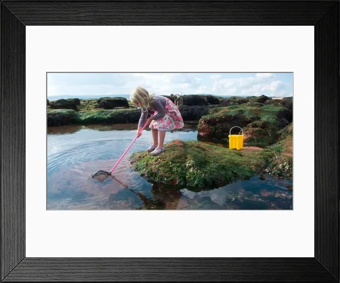Framed Print : Young girl fishing in a tidepool on Exmouth Beach, Devon, UK, September 2009, Model released
