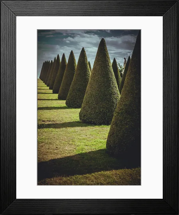 Framed Print : Conical hedge lines and lawn, Chateau de Versailles, France Framed Print : Conical hedge lines and lawn, Chateau de Versailles, France