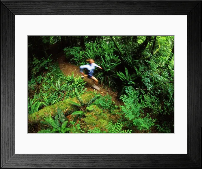 Framed Print : Woman running the trails below the Lynn Canyon Suspension Bridge, North Vancouver, British Columbia, Canada Framed Print : Woman running the trails below the Lynn Canyon Suspension Bridge, North Vancouver, British Columbia, Canada