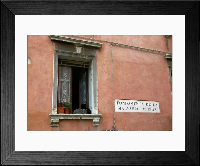 Framed Print : Cats in a window. Venice. Italy Framed Print : Cats in a window. Venice. Italy