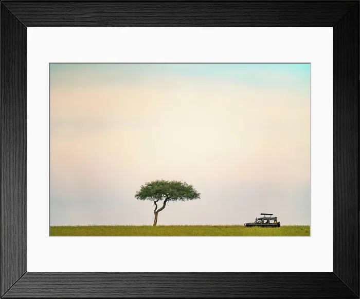 Framed Print : Safari vehicle driving past a Acacia tree in the Maasai Mara in Kenya Framed Print : Safari vehicle driving past a Acacia tree in the Maasai Mara in Kenya