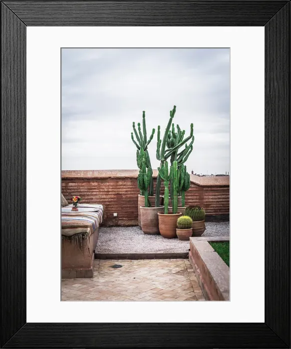 Framed Print : Ceramic pots with green cactuses and weathered sofa located on old terrace against cloudy sky