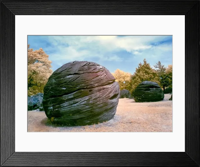 Framed Print : Odd Dakota sandstone concretions in Rock City, Kansas, USA Framed Print : Odd Dakota sandstone concretions in Rock City, Kansas, USA