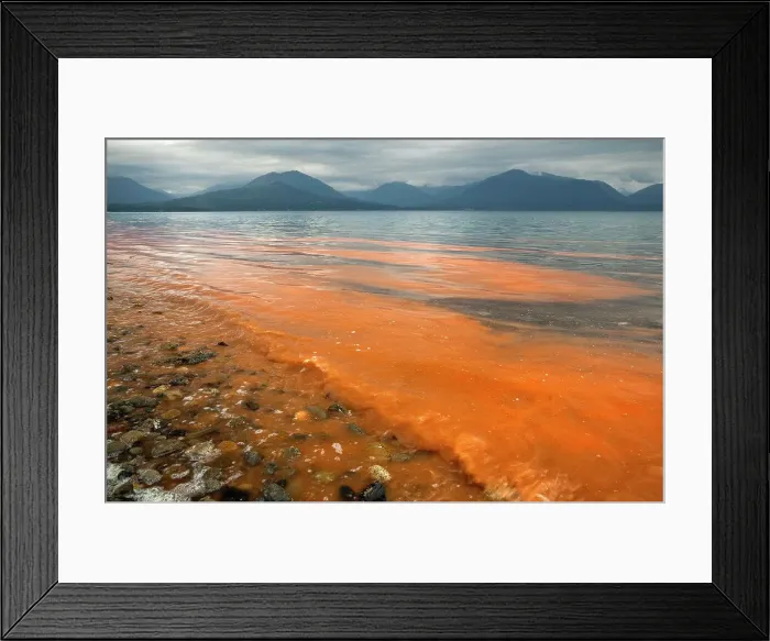 Framed Print : Red tide bloom, Hood Canal, Puget Sounds, Washington State, USA