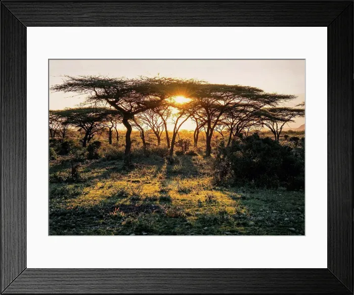 Framed Print : Sundown at the Massai Mara Nationalpark, Kenya Framed Print : Sundown at the Massai Mara Nationalpark, Kenya