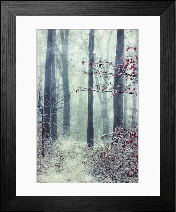 Framed Print : Germany, Wuppertal, winter forest, textured photography Framed Print : Germany, Wuppertal, winter forest, textured photography