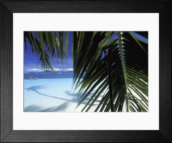 Framed Print : Tahiti French Polynesia