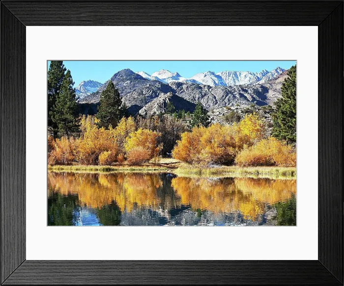 Framed Print : autumn in Zion Park