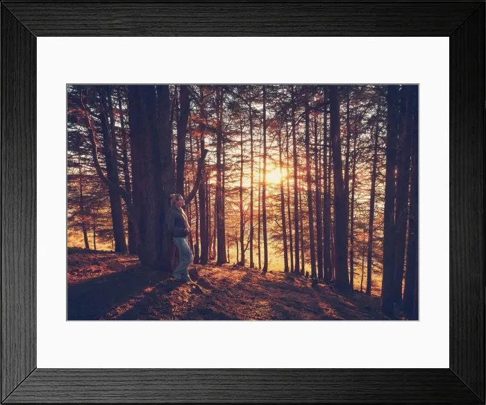 Framed Print : Woman walking in the autumn forest Framed Print : Woman walking in the autumn forest