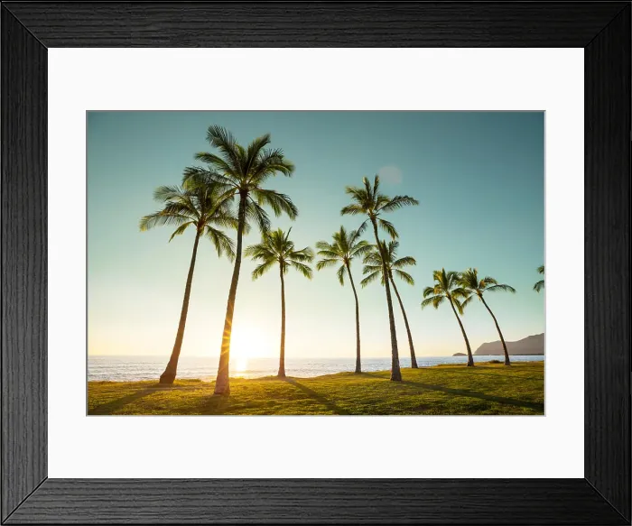 Framed Print : Hawaiian beach. Amazing hawaiian beach Framed Print : Hawaiian beach. Amazing hawaiian beach