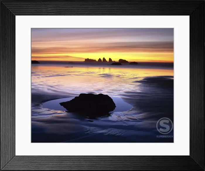 Framed Print : Oregon Islands National Wildlife RefugeOregonUSA Framed Print : Oregon Islands National Wildlife RefugeOregonUSA