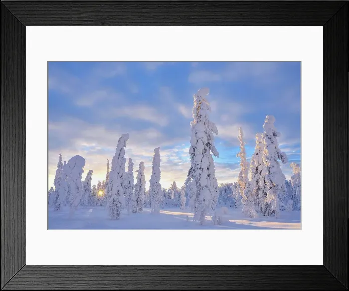 Framed Print : Snow covered landscape in winter, Valtavaara, Patoniemi, Kuusamo, Nordoesterbotten, Pohjois Pohjanmaa, Finland, Suomi Framed Print : Snow covered landscape in winter, Valtavaara, Patoniemi, Kuusamo, Nordoesterbotten, Pohjois Pohjanmaa, Finland, Suomi