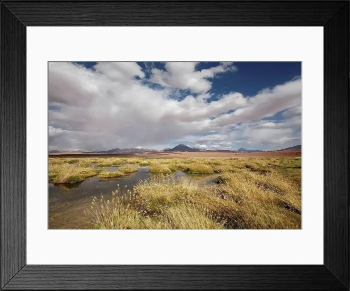 Framed Print : Chile, pampas Incahuasi, Ischu grass, lagoon Framed Print : Chile, pampas Incahuasi, Ischu grass, lagoon
