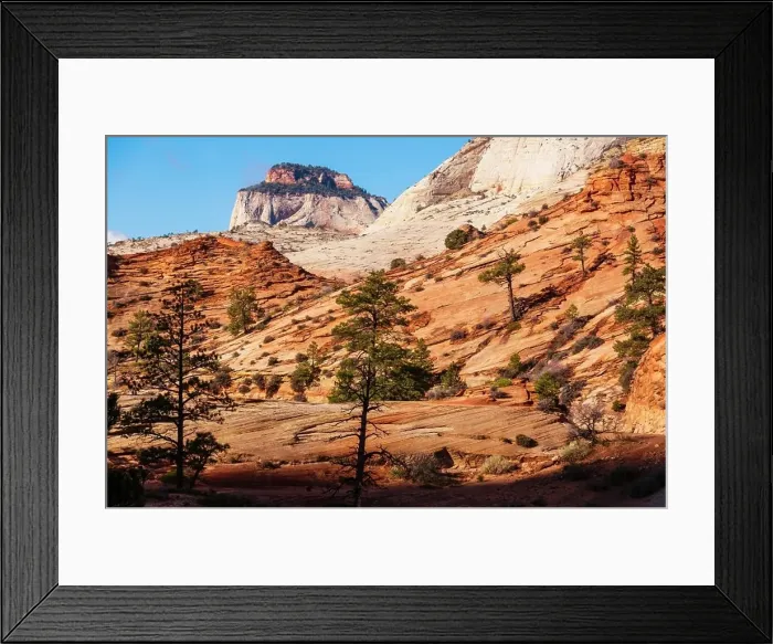 Framed Print : Zion National Park Framed Print : Zion National Park