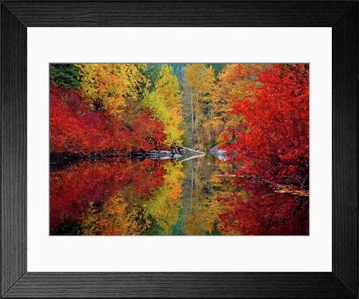 Framed Print : Reflection of trees in water, Nason Creek, Stevens Pass, Washington, USA