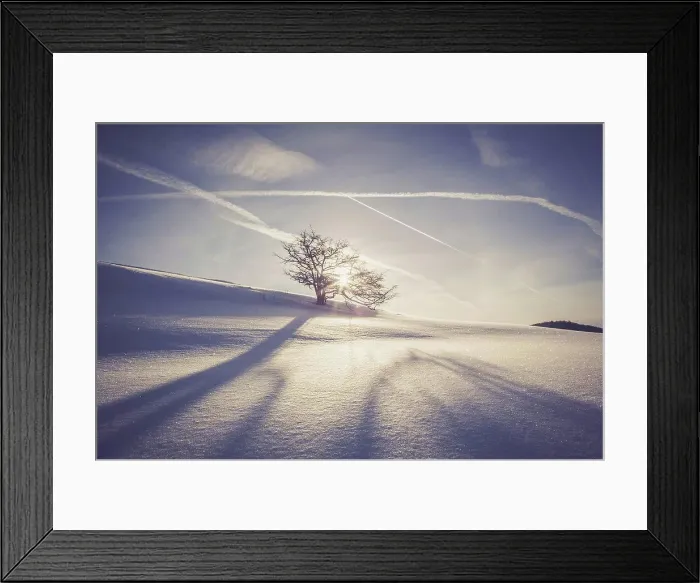 Framed Print : Germany, Baden-Wurttemberg, Swabian Mountains, Tree in snow covered landscape Framed Print : Germany, Baden-Wurttemberg, Swabian Mountains, Tree in snow covered landscape