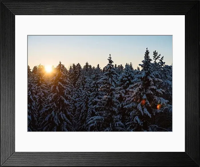 Framed Print : Early morning at snowy forest. Fabulous winter landscape- sunrise at fir forest covered with snow Framed Print : Early morning at snowy forest. Fabulous winter landscape- sunrise at fir forest covered with snow