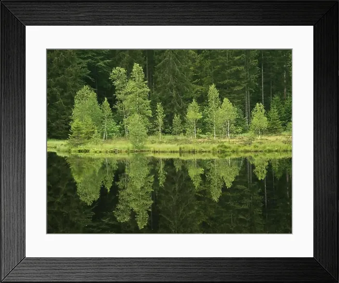 Framed Print : Buhlbachsee near Zuflucht, Buhlbach near Baiersbronn Framed Print : Buhlbachsee near Zuflucht, Buhlbach near Baiersbronn