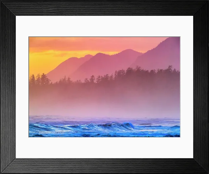 Framed Print : Shoreline along Pacific Rim National Park, Canada Framed Print : Shoreline along Pacific Rim National Park, Canada