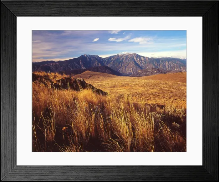 Framed Print : South Okanagan grasslands, near Osoyoos, British Columbia, British Columbia, Canada Framed Print : South Okanagan grasslands, near Osoyoos, British Columbia, British Columbia, Canada