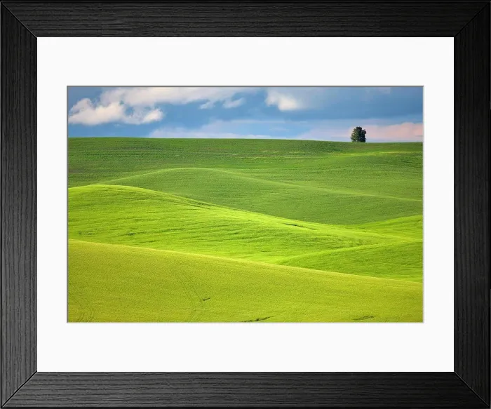 Framed Print : Clouds over a farm, Palouse, Washington State, USA Framed Print : Clouds over a farm, Palouse, Washington State, USA
