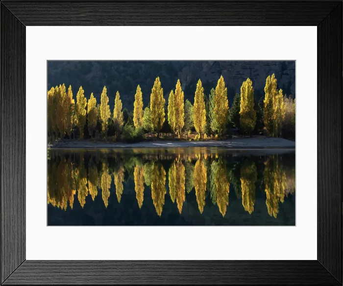 Framed Print : A row of poplar trees reflected in autumnal colours, San Carlos de Bariloche, Patagonia, Argentina, South America Framed Print : A row of poplar trees reflected in autumnal colours, San Carlos de Bariloche, Patagonia, Argentina, South America