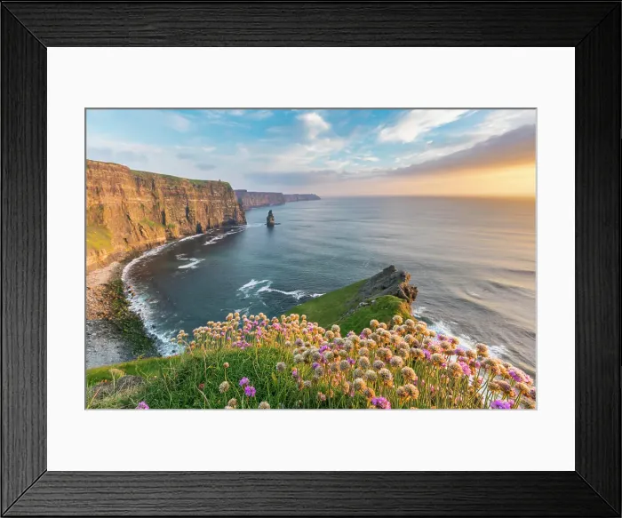 Framed Print : Cliffs of Moher at sunset, with flowers in the foreground Framed Print : Cliffs of Moher at sunset, with flowers in the foreground