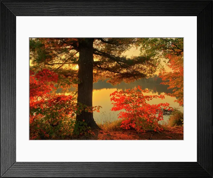 Framed Print : Autumn scenic at Beales Lake Wharncliffe Ontario Canada Framed Print : Autumn scenic at Beales Lake Wharncliffe Ontario Canada