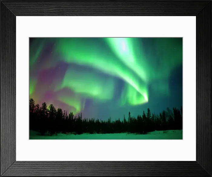 Framed Print : Aurora borealis (northern lights), boreal forest, Yellowknife environs, NWT, Canada Framed Print : Aurora borealis (northern lights), boreal forest, Yellowknife environs, NWT, Canada