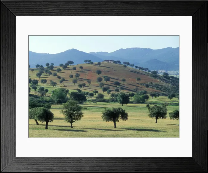 Framed Print : SPAIN - landscape. La Dehesa, Extremadura. Spain Framed Print : SPAIN - landscape. La Dehesa, Extremadura. Spain