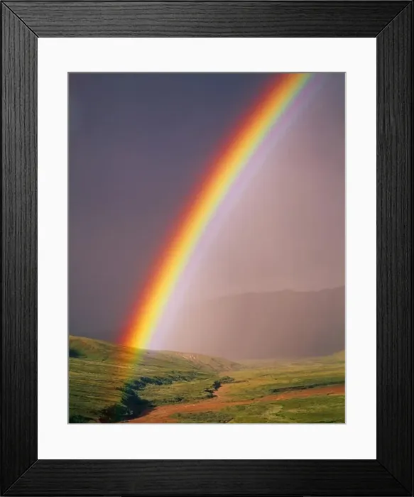 Framed Print : Brilliant rainbow above a tributary to Stony Creek, Denali National Park, Alaska Framed Print : Brilliant rainbow above a tributary to Stony Creek, Denali National Park, Alaska