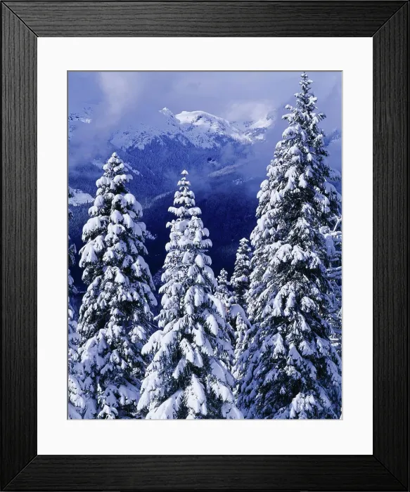 Framed Print : USA, Washington, Mount Baker-Snoqualmie National Forest