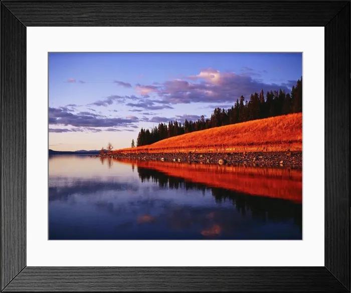 Framed Print : USA, Wyoming, Yellowstone National Park Framed Print : USA, Wyoming, Yellowstone National Park