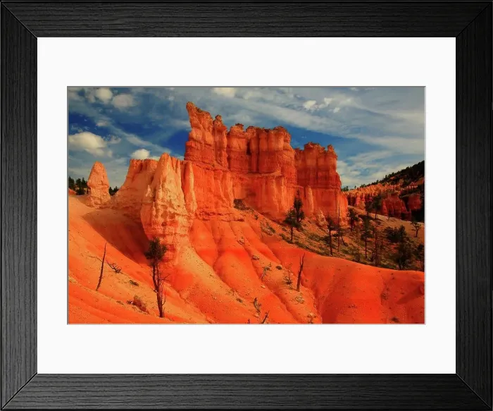 Framed Print : Fairyland Loop Trail Hoodoos in Bryce Canyon, Bryce Canyon National Park, Utah, USA Framed Print : Fairyland Loop Trail Hoodoos in Bryce Canyon, Bryce Canyon National Park, Utah, USA