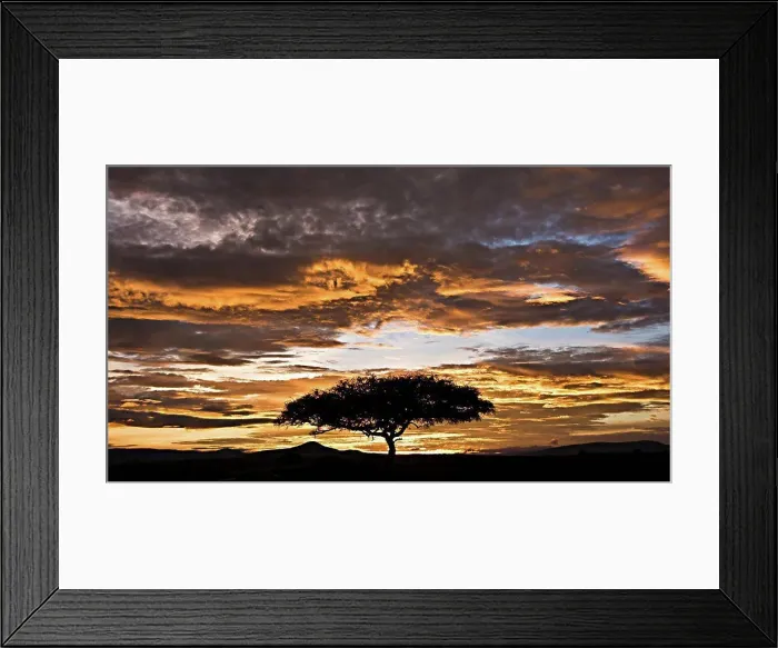 Framed Print : Dawn on the Masai Mara in Kenya Framed Print : Dawn on the Masai Mara in Kenya