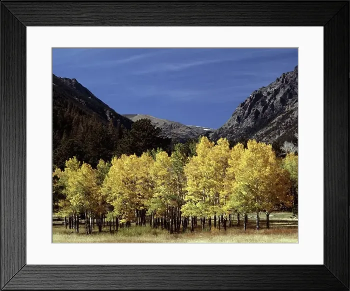 Framed Print : Horseshoe Park Rocky Mountain National Park Colorado USA Framed Print : Horseshoe Park Rocky Mountain National Park Colorado USA