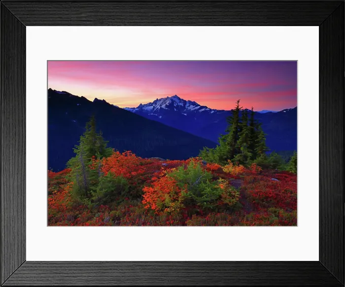 Framed Print : Fall Sunrise with Mt Shuksan from Yellow Aster Butte in the Mt Baker Wilderness in Washington Framed Print : Fall Sunrise with Mt Shuksan from Yellow Aster Butte in the Mt Baker Wilderness in Washington