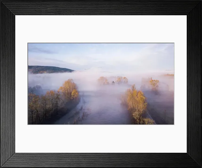 Framed Print : Sunny Fall Colors During Foggy Morning In Washington