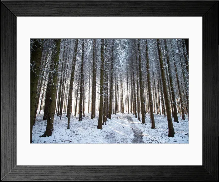 Framed Print : beautiful winter landscape snow covered pine forest