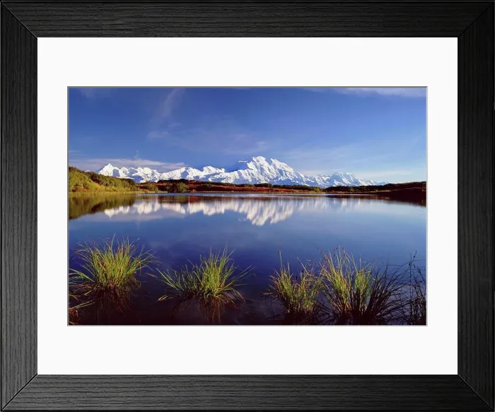 Framed Print : Mount McKinley in Denali National Park, Alaska reflected in Reflection Pond. Denali National Park, Alaska, USA Framed Print : Mount McKinley in Denali National Park, Alaska reflected in Reflection Pond. Denali National Park, Alaska, USA