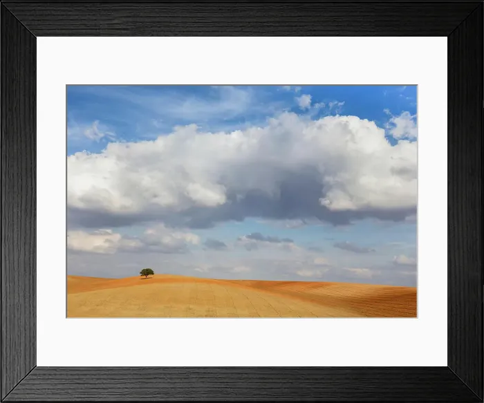 Framed Print : Alentejo agricultural field trees Portugal Framed Print : Alentejo agricultural field trees Portugal