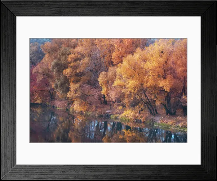 Framed Print : Scenic Herbstlandschaft mit bunten Natur und Reflexion im Wasser des Flusses *** Scenic Autumn Landscape with colourful Framed Print : Scenic Herbstlandschaft mit bunten Natur und Reflexion im Wasser des Flusses *** Scenic Autumn Landscape with colourful