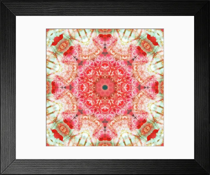 Framed Print : photographic flowers mandala Framed Print : photographic flowers mandala