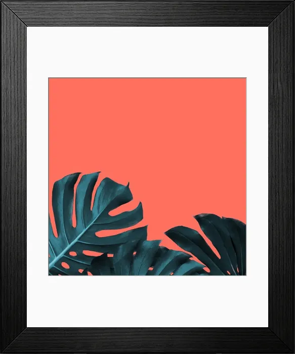 Framed Print : Card with frame of evergreen leaves of monstera on a color of the year 2019 Living Coral background
