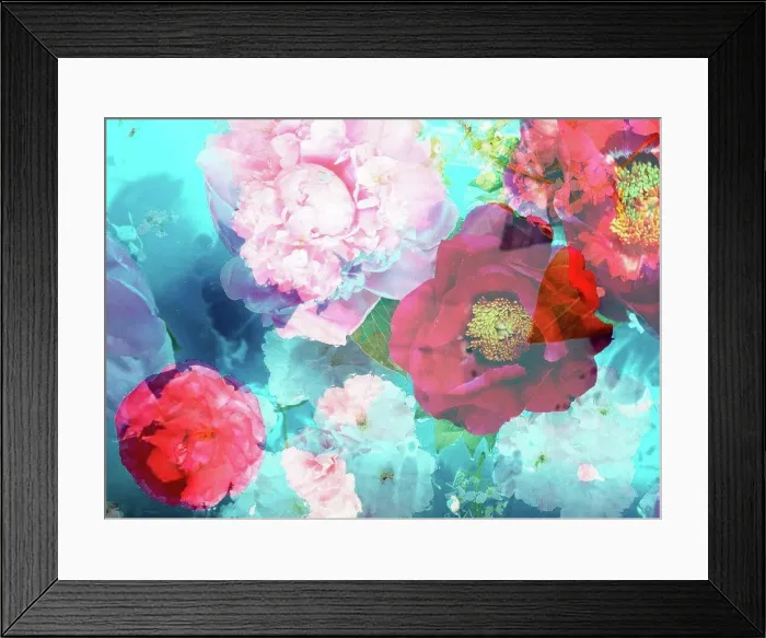 Framed Print : photomontage, multiple exposure, flowers, detail