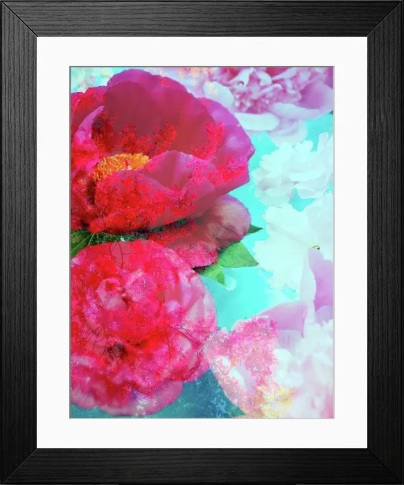 Framed Print : photomontage, flowers, twigs, detail, blur Framed Print : photomontage, flowers, twigs, detail, blur