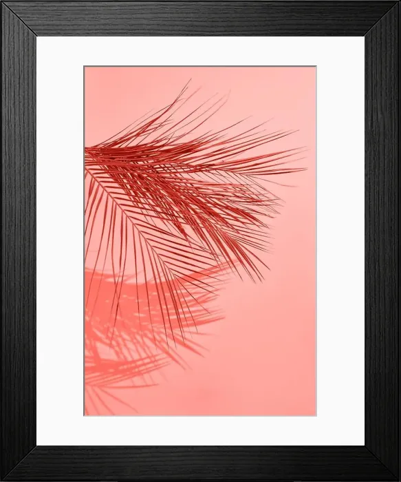 Framed Print : Creative pattern from palm leaf with shadows on a on a color of the year 2019 Living Coral background